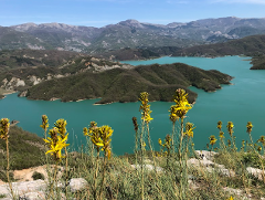 From Castles to Cliffs: Discover Krujë & Bovilla 