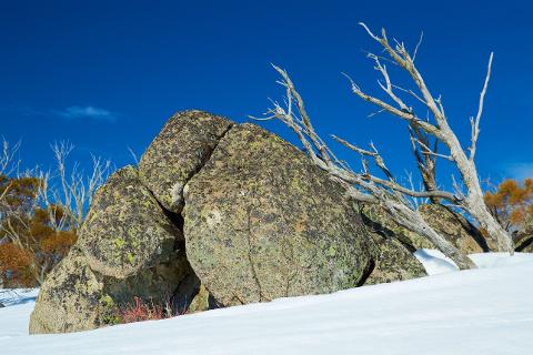 Private Sydney - Jindabyne - Thredbo - Perisher Snow Transfer