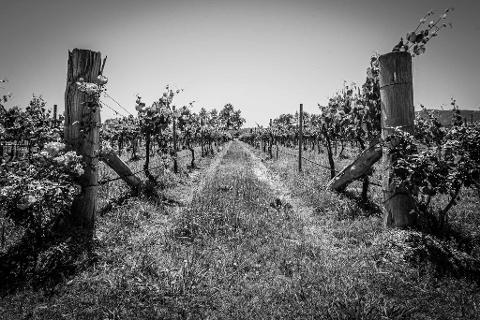 6c9ab230a5ed413ba6a47f9c9879ac23Hunter_16