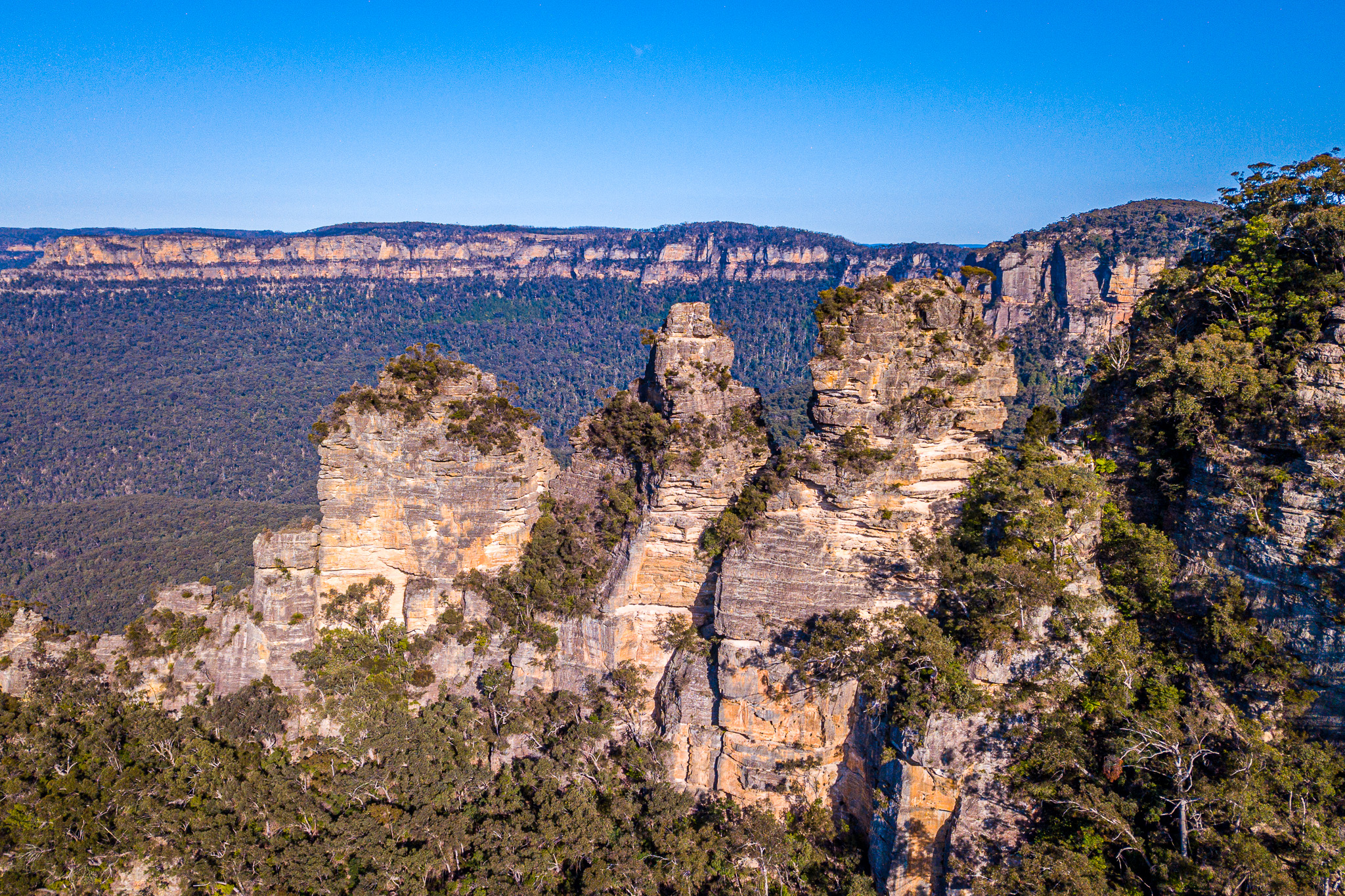 Blue Mountains Rainforests & Waterfalls Photography Group of 3 Tour