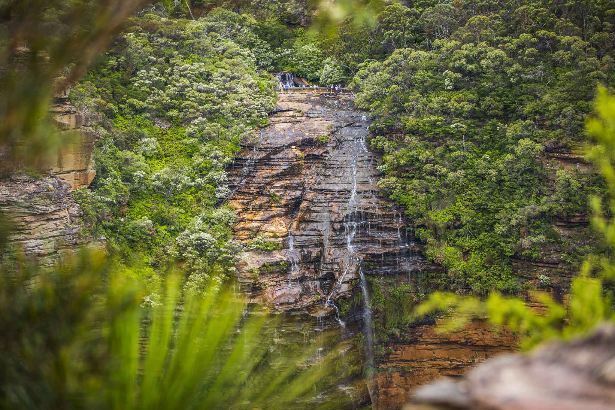 Blue Mountains Escape The Crowds Private Tour