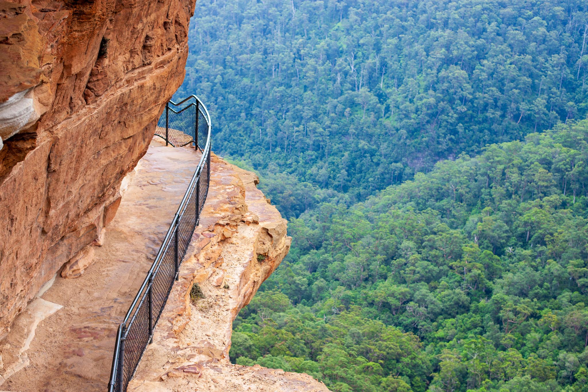 Blue Mountains Escape The Crowds Private Tour