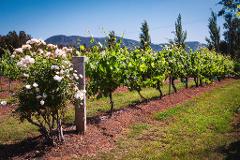 Private Southern Highlands Luxury Wine & Heritage Tour from Sydney