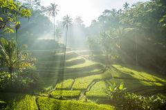 Authentic Bali