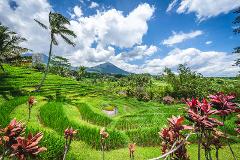 Heart Of Bali