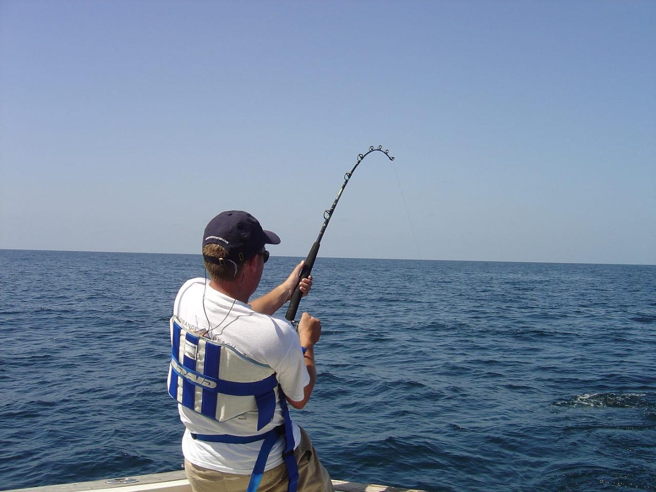 Inshore Fishing Charter - 3 Hours