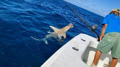 Shark Fishing Charter - 4 Hours