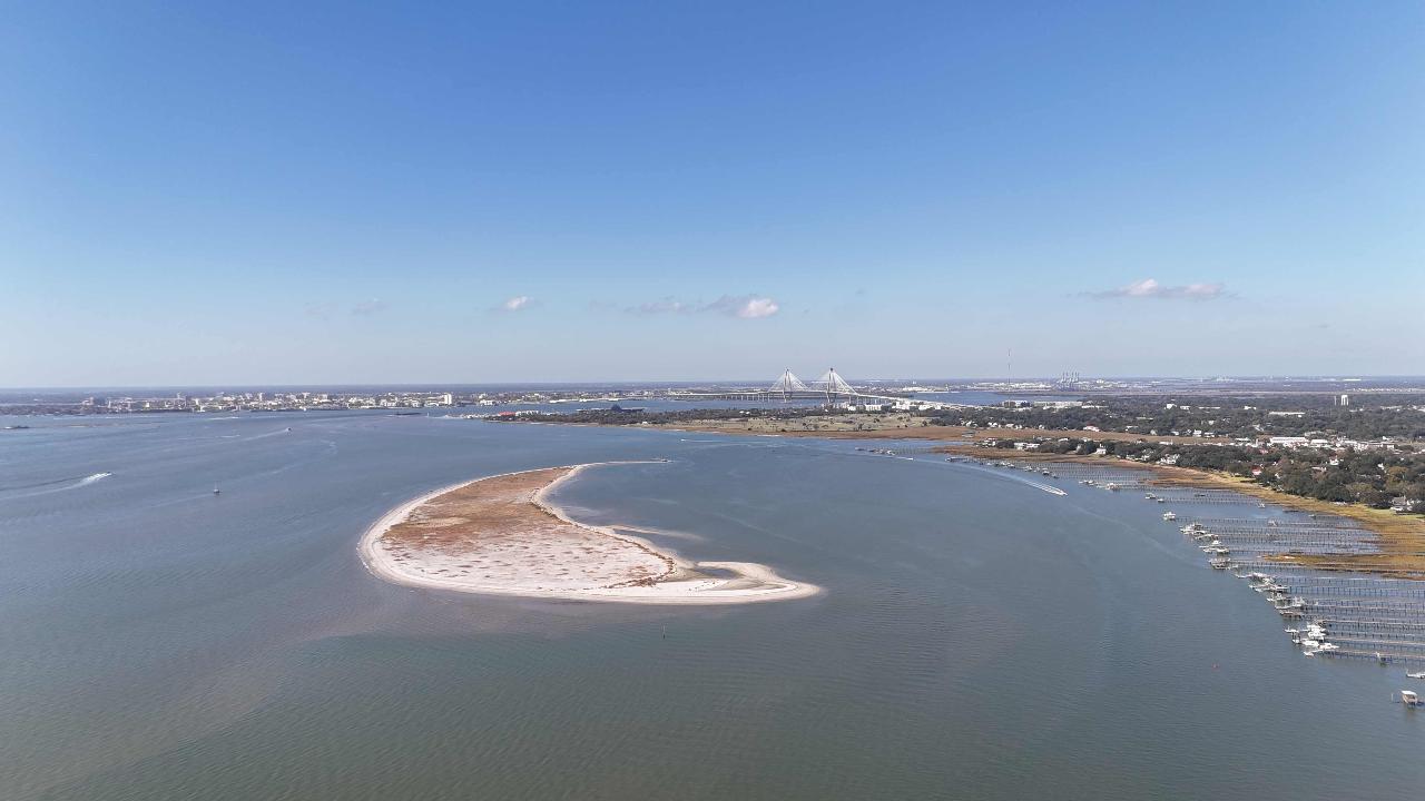 Crab Bank Island Shark Tooth Trip - 2 Hour Sandbar Adventure