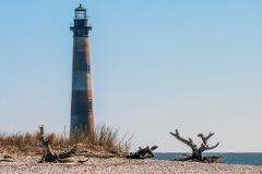 Morris Island Shark Tooth & Fossil Co-Charter Trip - 4 Hour Sandbar Adventure