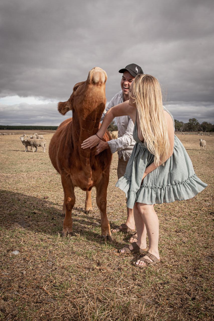 Warrawindi Farm Highlights Tour