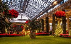 Longwood Gardens Christmas with Meal