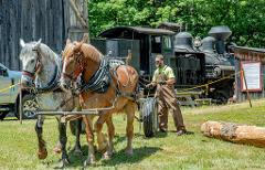  Bark Peelers’ Festival & Wellsboro, PA - 2 Night / 3 Day - July 2024