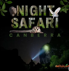 Night Safari Canberra