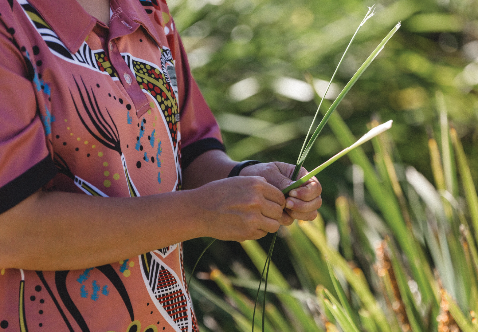 Traditional Bushtucker / Medicine Walk