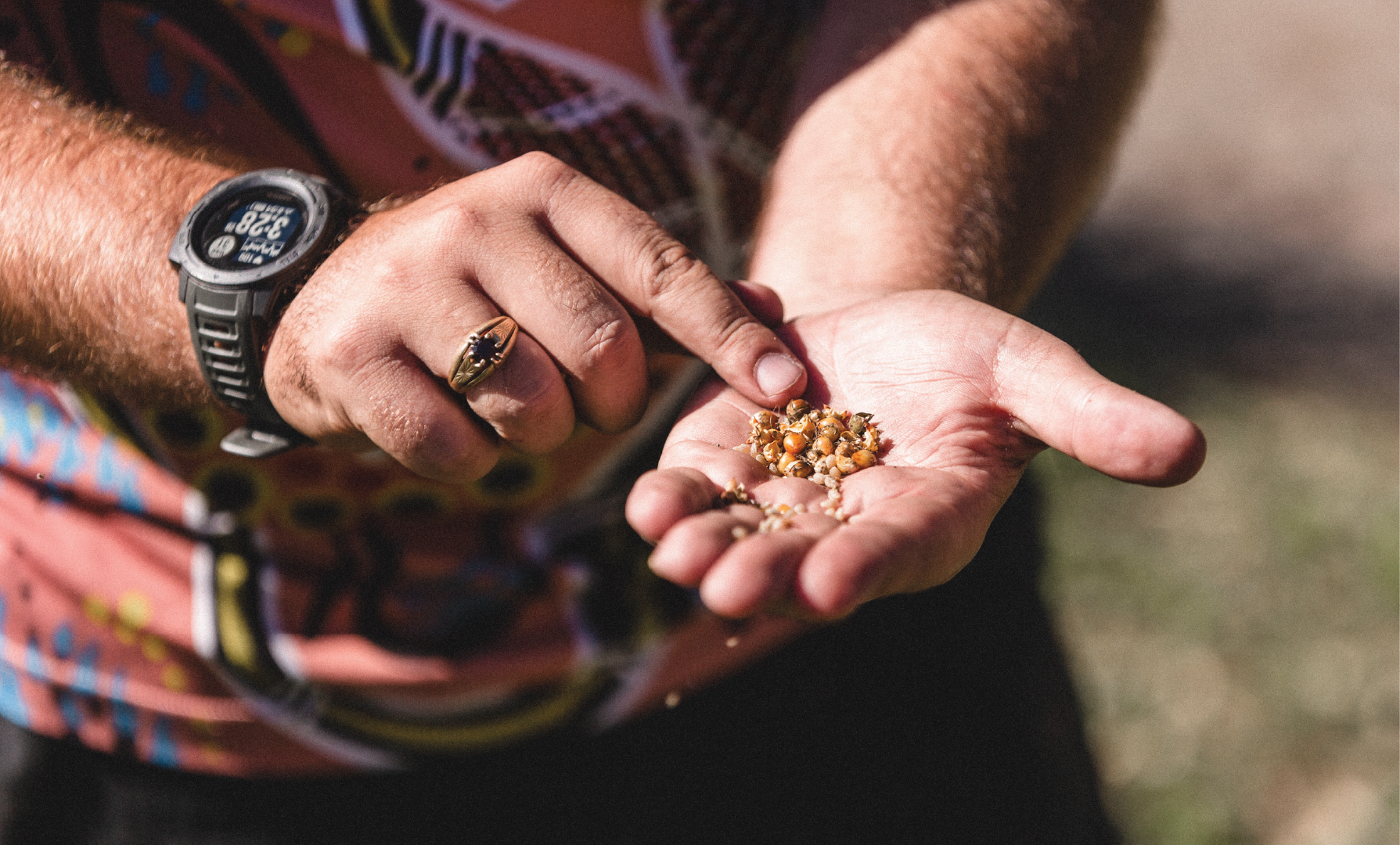 Traditional Bushtucker / Medicine Walk