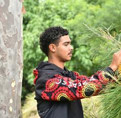 Traditional Bushtucker / Medicine Walk