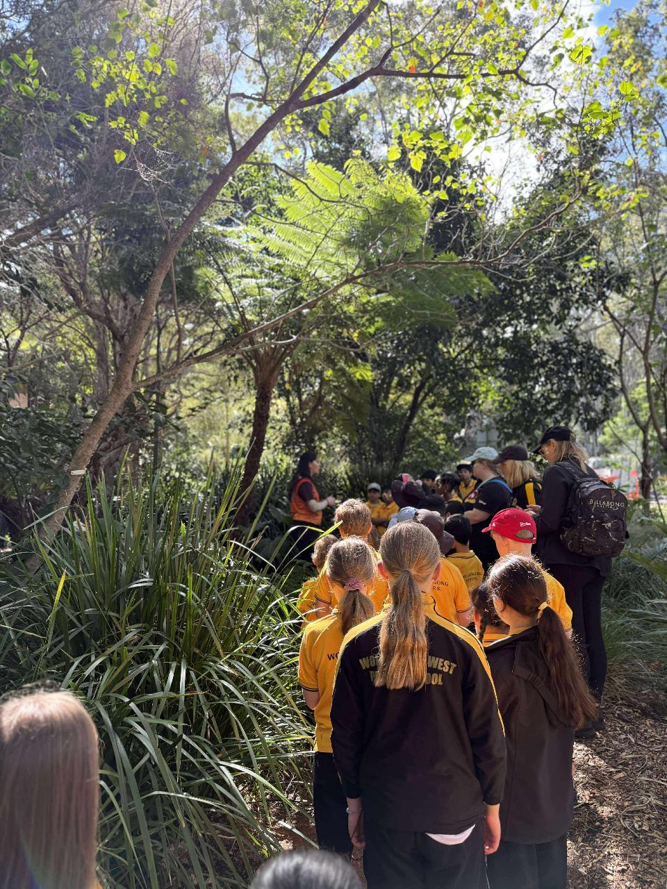 Explore Culture in the Botanic Gardens