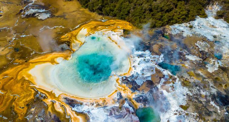 Rotorua Geothermal