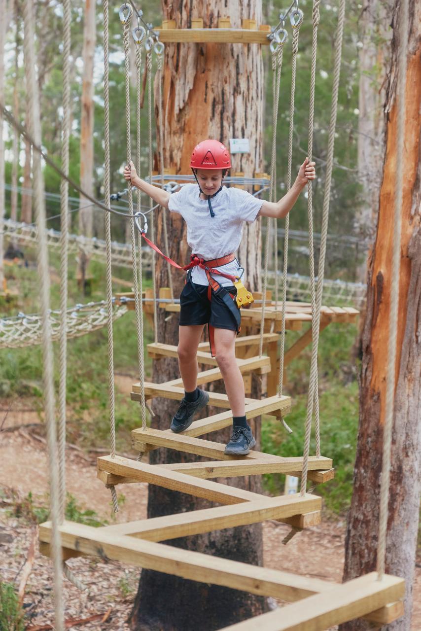 6+ Explorers Access Pass at Aerial Adventure Pemberton