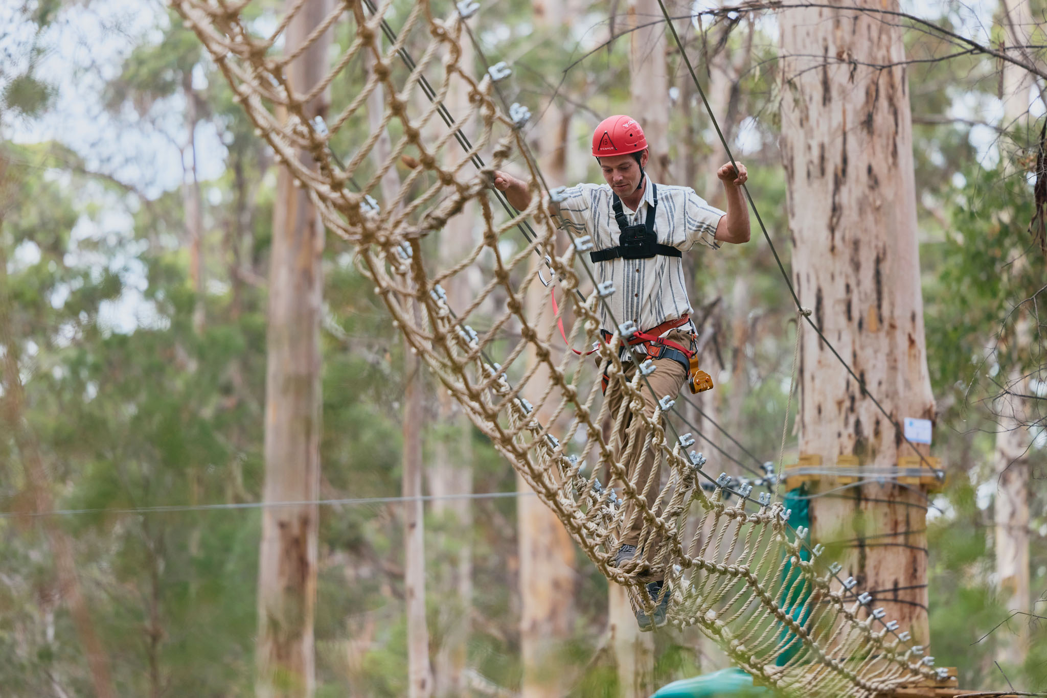 8+ Ultimate Access Pass at Aerial Adventure Pemberton