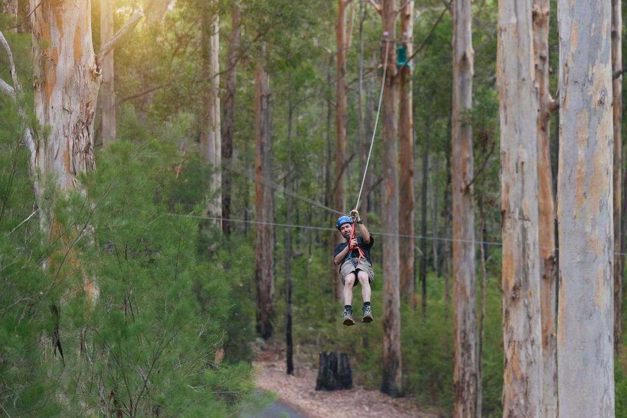 8+ Ultimate Access Pass at Aerial Adventure Pemberton