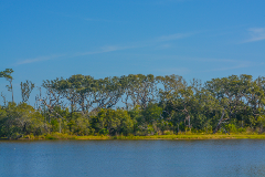 Big Shell Island Tour 