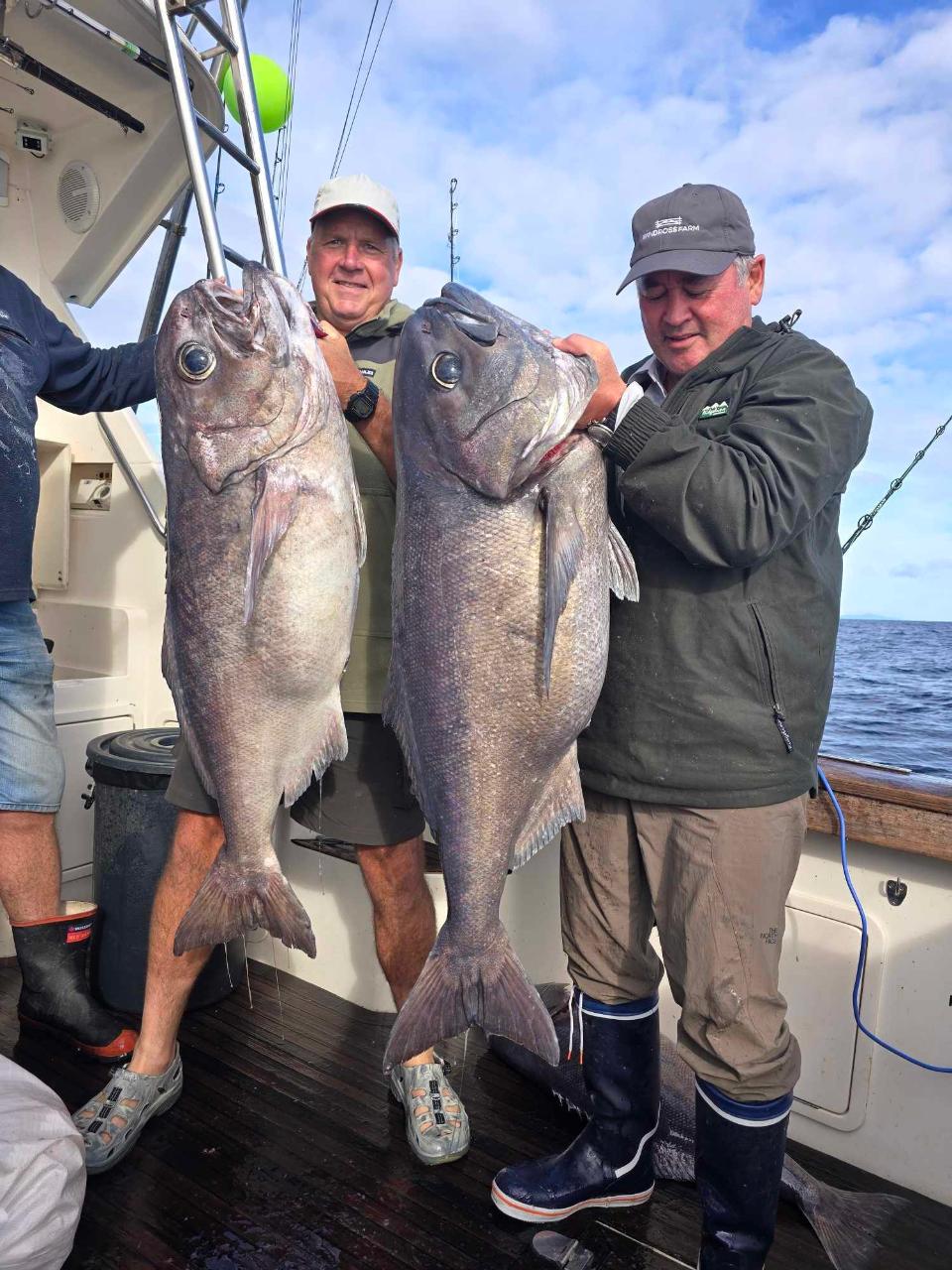 Day Trip (Inshore fishing) targeting Bluenose  - Hire Whole Boat