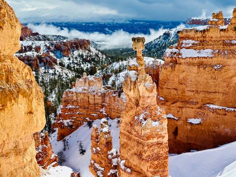 Bryce Canyon - Private Guide Hike + Picnic