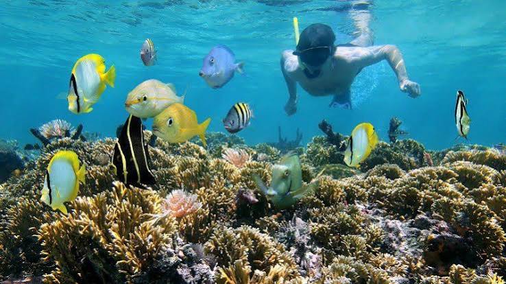 Combo Fishing & Snorkelling