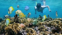 Combo Fishing & Snorkelling