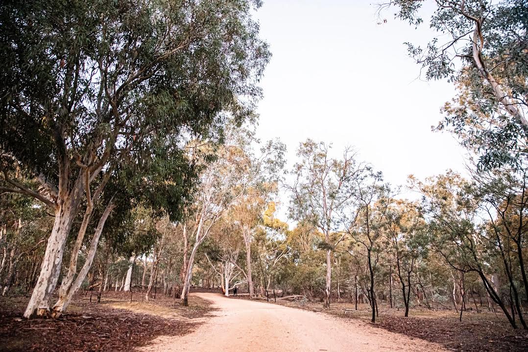 2 Hour Nature Connection Walk (EXPLORE TICKET)