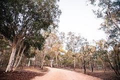 2 Hour Nature Connection Walk (EXPLORE TICKET)