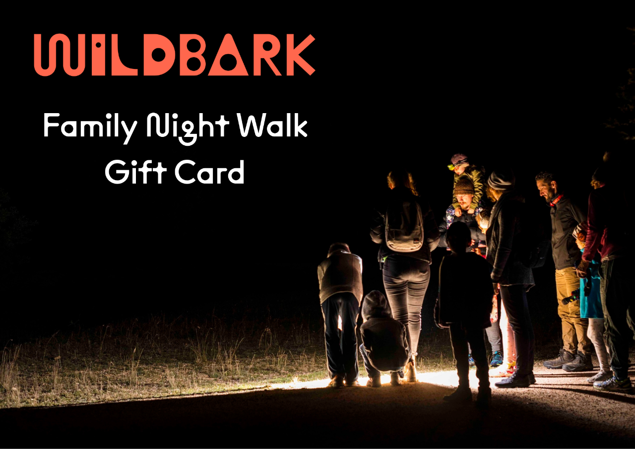 Family Night Walk: Gift Card