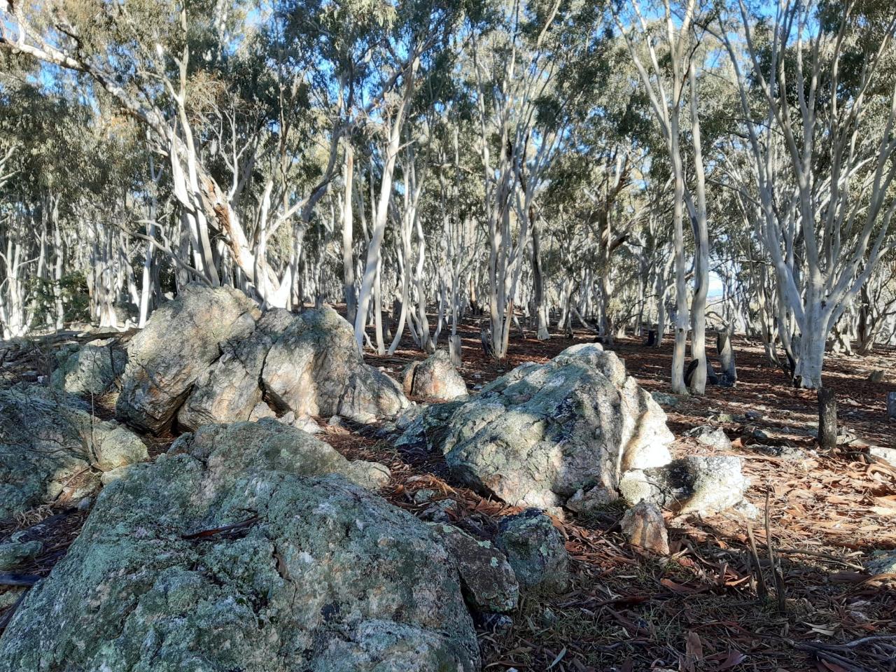 Geology Walk