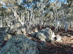 Geology Walk