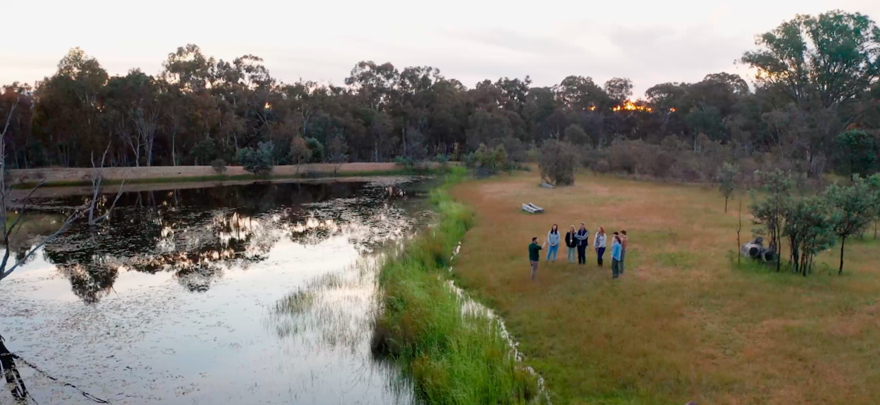 Mindfulness Walks