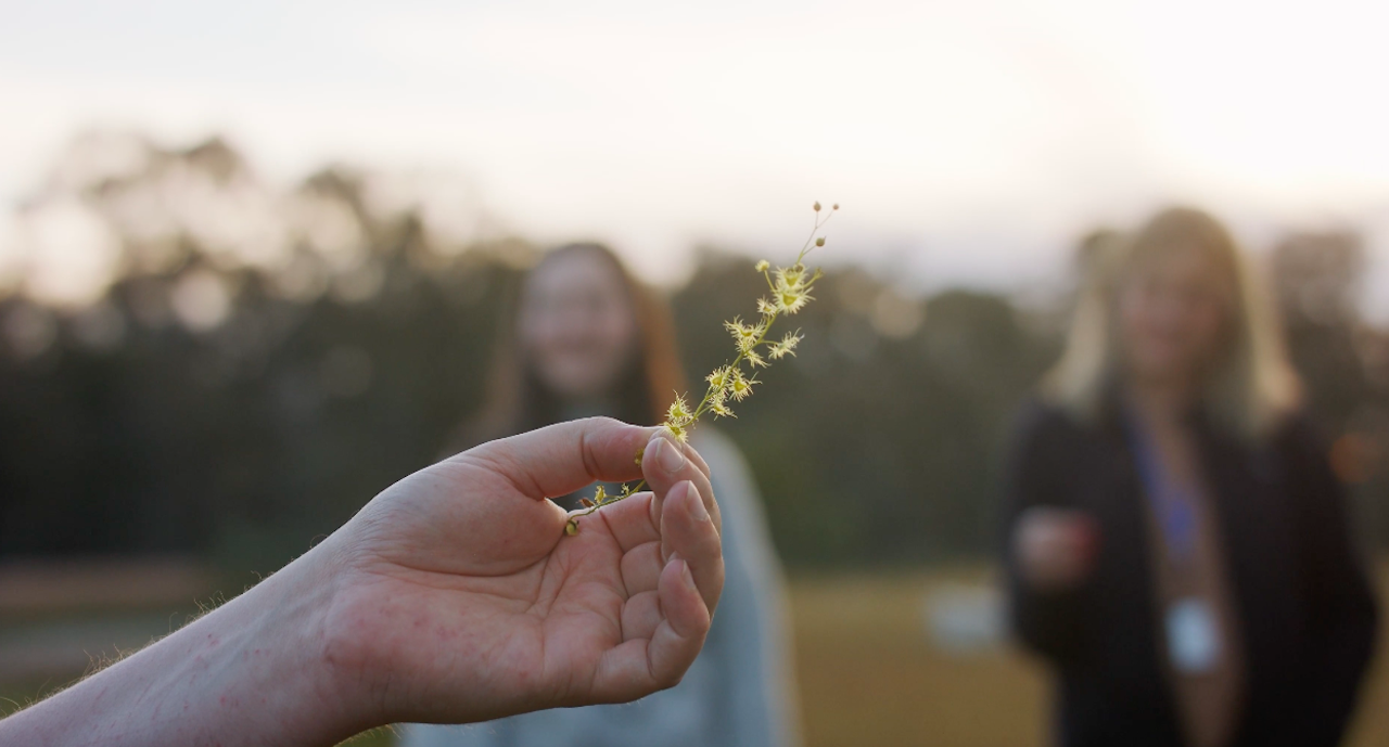 Nature Journaling 