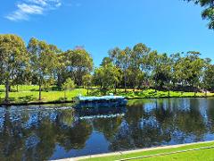 Discover Adelaide: City Walk and Popeye River Cruise