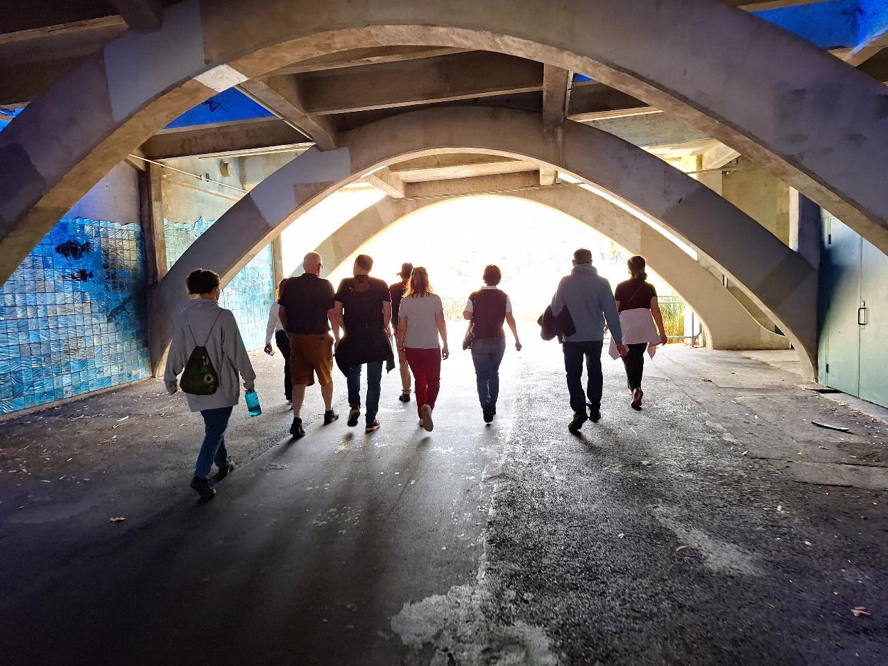 Discover Adelaide: City Walk and Popeye River Cruise