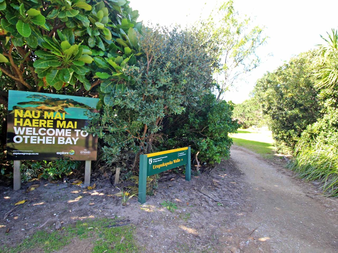 Guided Walking Tour - Morning