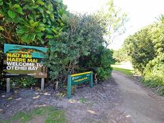 Guided Walking Tour - Morning