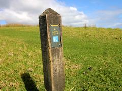 Guided Walking Tour - Afternoon