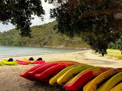 All-Day Single Kayak Rental 