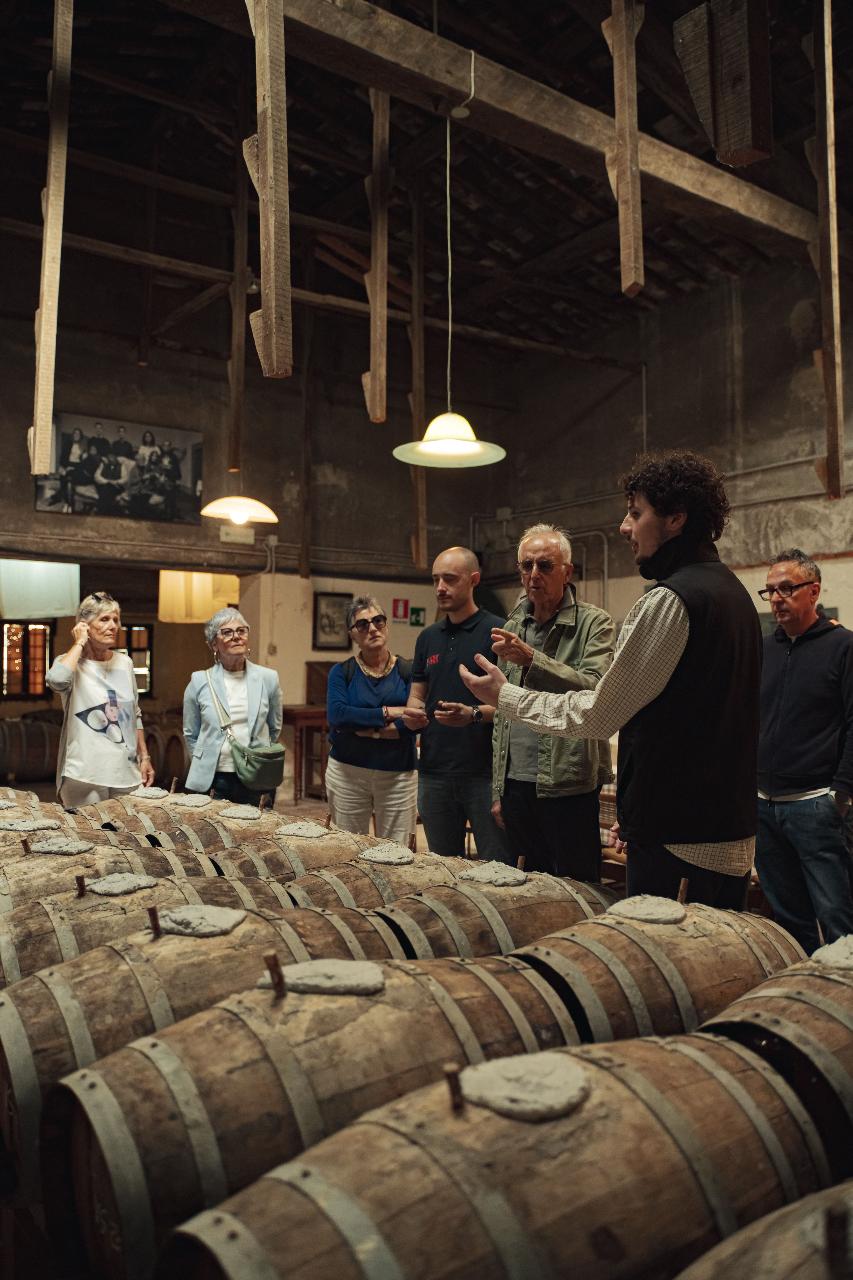 Pasta Class Florence: Truffle hunt with Fresh Pasta lunch, Wine tasting & Old Villa tour and San Gimignano — Chianti Classico - Photo 2