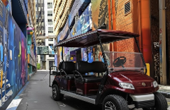 Charlotte: Guided City Sightseeing Tour by Cart