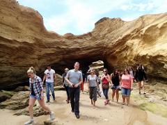 Great Ocean Road 1-Day Tour