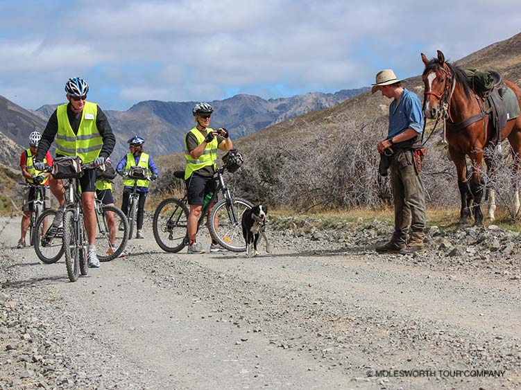 Molesworth & Spooners Tunnel Cycle Tour