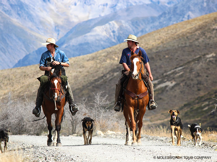 Molesworth 4-Day Homestead & Heritage Tour