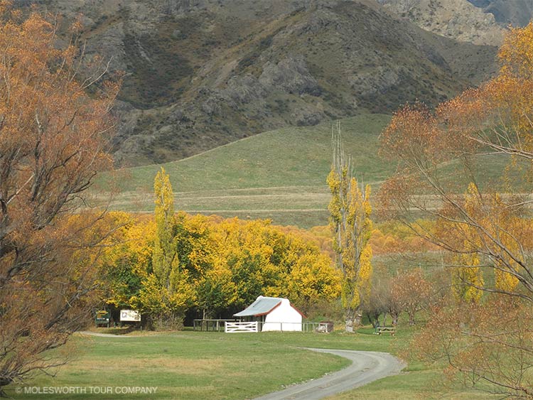 Molesworth Express Tour