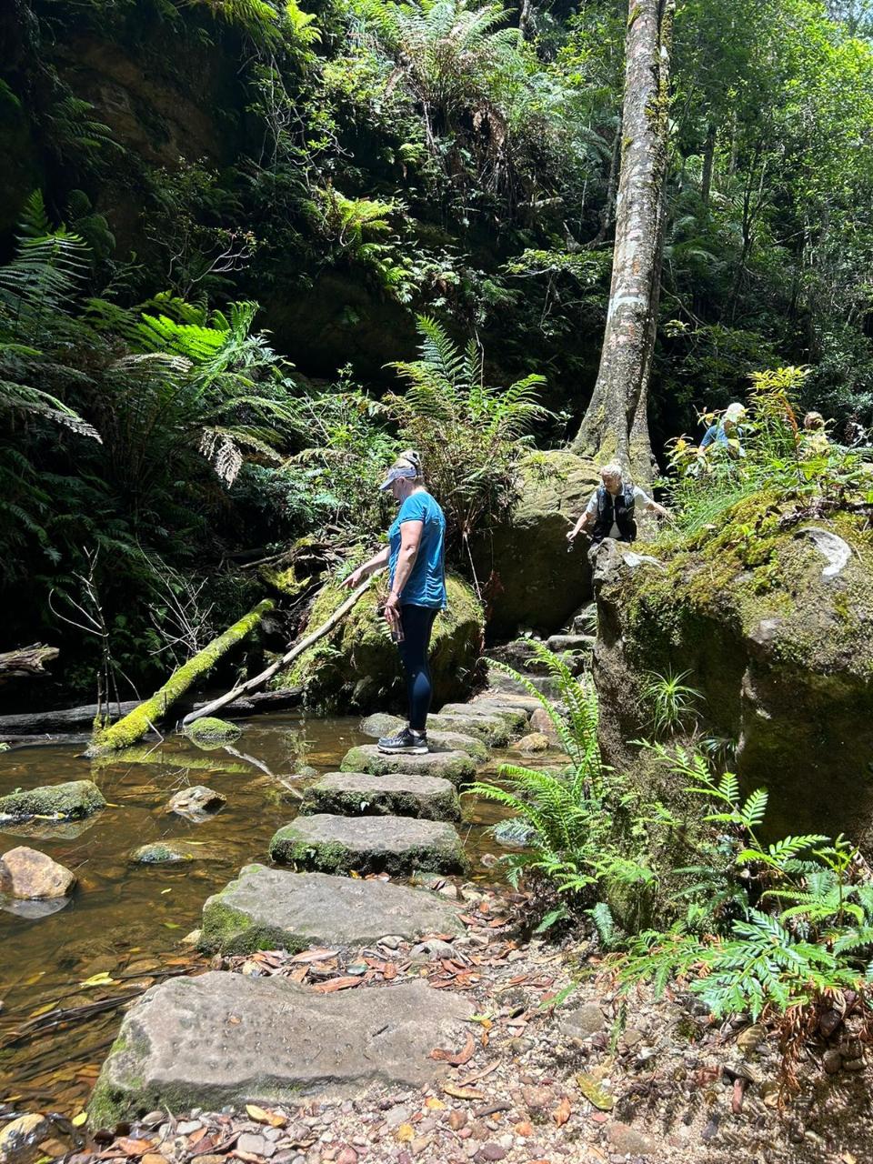 Best of Blackheath Bushwalking Weekend